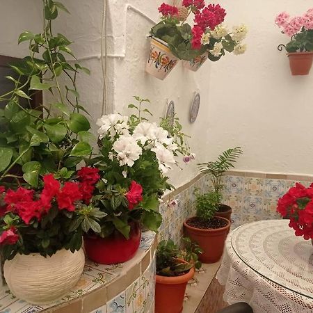 Vila Casa Tipica De Pueblo Andaluz Villanueva de San Juan Exteriér fotografie