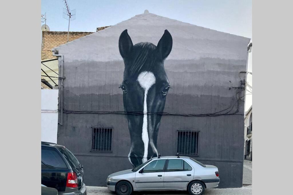 Vila Casa Tipica De Pueblo Andaluz Villanueva de San Juan Exteriér fotografie
