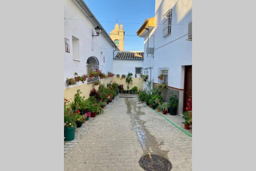Vila Casa Tipica De Pueblo Andaluz Villanueva de San Juan Exteriér fotografie