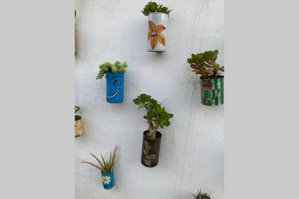 Vila Casa Tipica De Pueblo Andaluz Villanueva de San Juan Exteriér fotografie