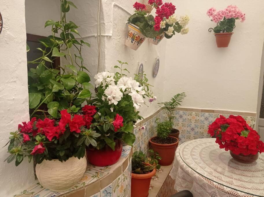 Vila Casa Tipica De Pueblo Andaluz Villanueva de San Juan Exteriér fotografie