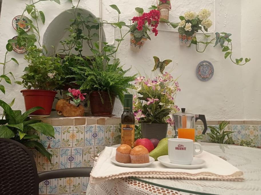 Vila Casa Tipica De Pueblo Andaluz Villanueva de San Juan Exteriér fotografie